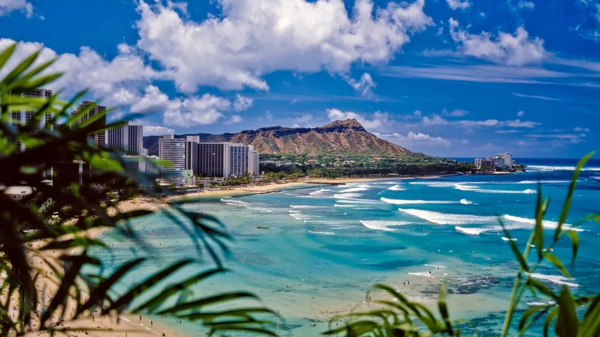 Apartment Newly Renovated With Ocean View Near Waikiki Beach Honolulu